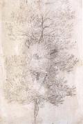 A Tree Trunks (mk17) Claude Lorrain